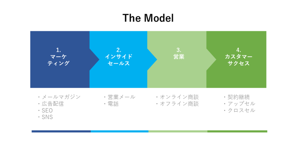 The Model